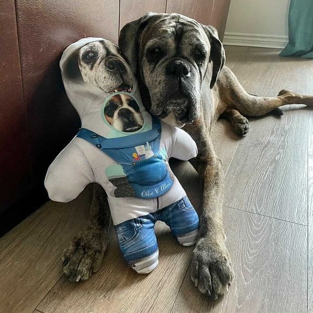 Personalised Mini Me Doll