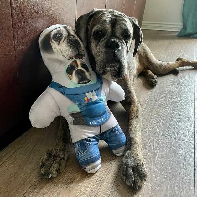 Personalised Mini Me Doll